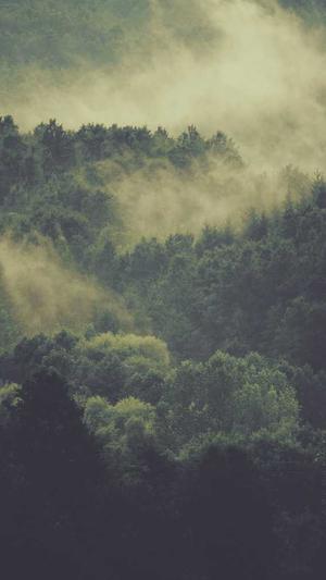 seo爬虫工具截图1