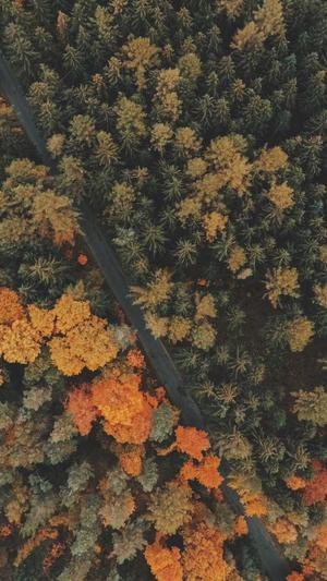 蜘蛛池视频教程截图3