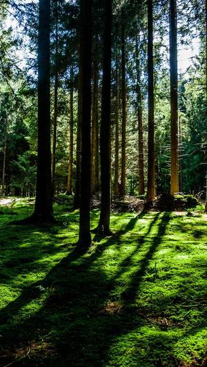 seo用什么工具截图3