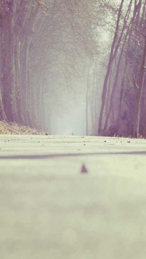 如何建设网站截图5