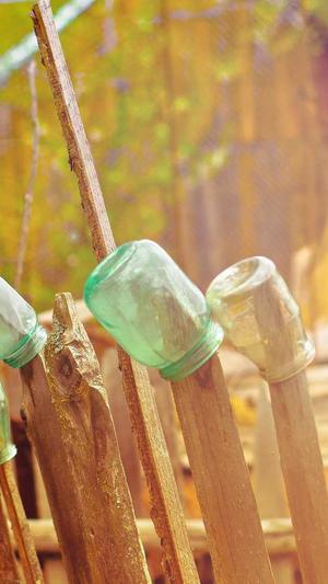 seo研究协会网截图4