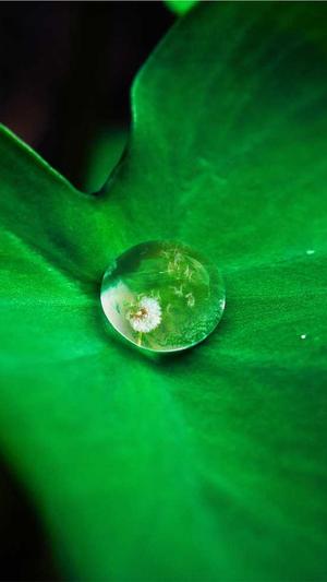 蜘蛛池出租推广平台截图1