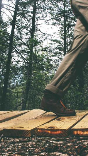 seo点击工具截图1