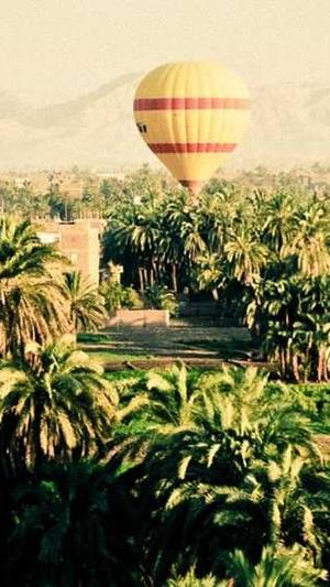 泛目录安装教程截图2