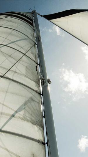 蜘蛛池和泛目录区别截图5