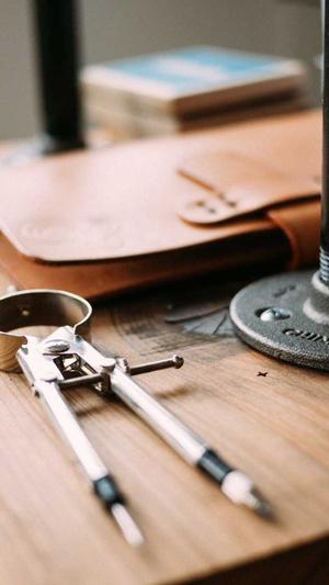 建蜘蛛池多少钱截图2