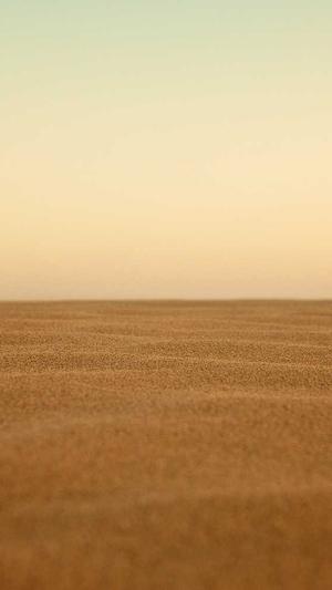 深圳高端网站建设公司截图3