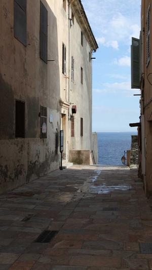 蜘蛛池多少钱一米截图3