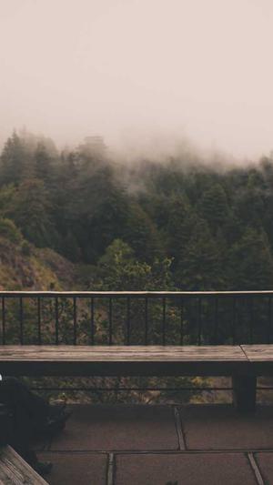 贵州省建设厅网站截图2