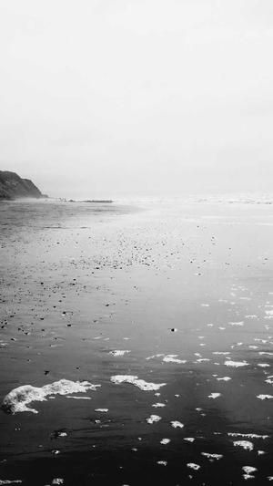 千站云蜘蛛池导航截图1