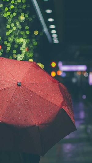 蜘蛛池收录一般要多久截图1