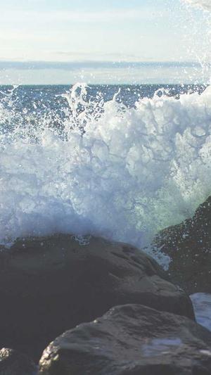 泛目录怎么做seo教程截图1