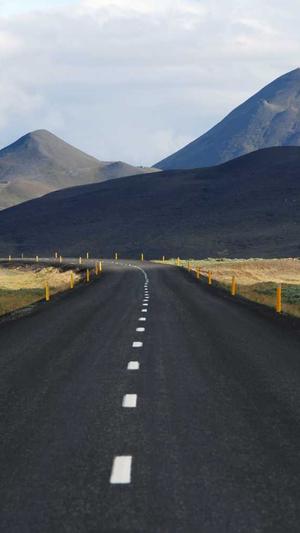 蜘蛛池寄生虫不同点截图3