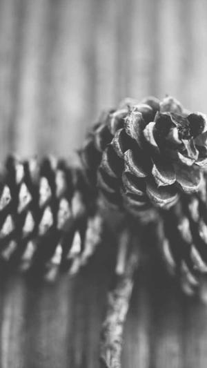 seo 优化的工具截图1