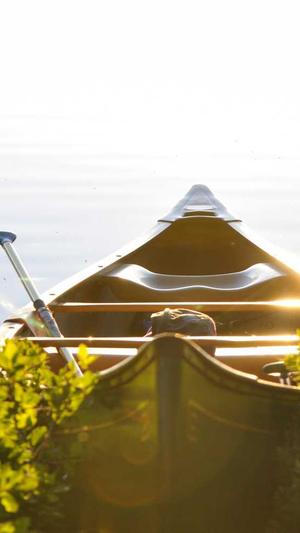 seo优化有什么工具截图2