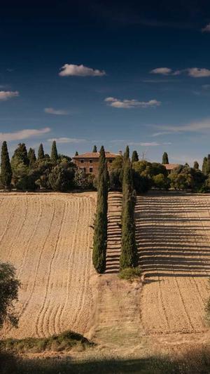 海南蜘蛛池租用截图1