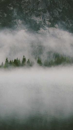 泛目录作用截图4