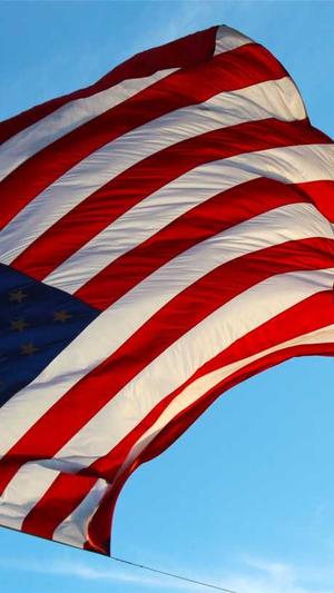 seo新手工具截图1