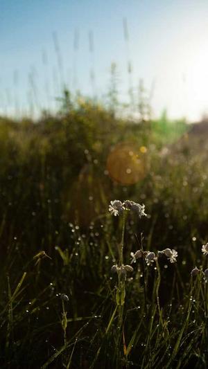 seo泛目录怎么操作截图2