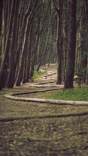 seo站长工具视频营销截图3