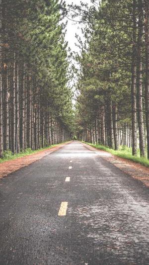 seo推广优化工具截图3