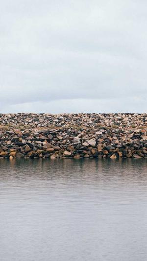 蜘蛛池是发布大量外链吗截图5