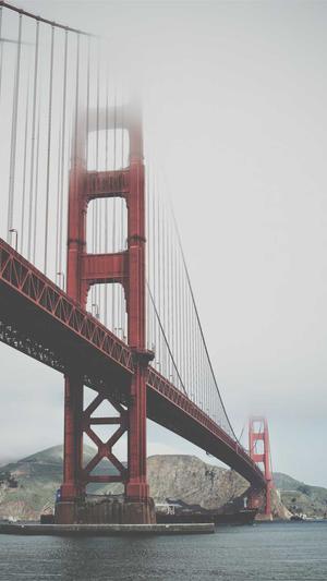 seo优化工具截图1