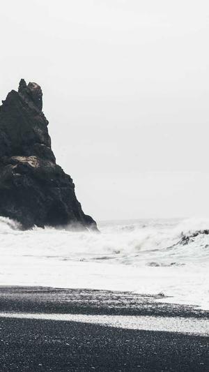 酒店网站建设截图1