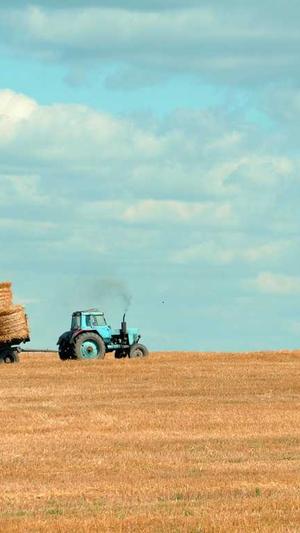 seo用什么工具截图1