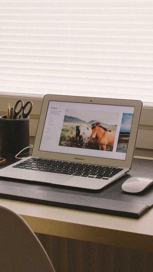 seo选词工具截图1