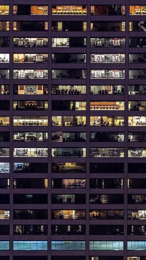 seo在线工具截图1