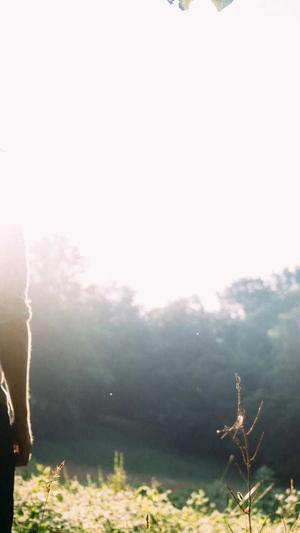 泛目录泛域名做法截图2