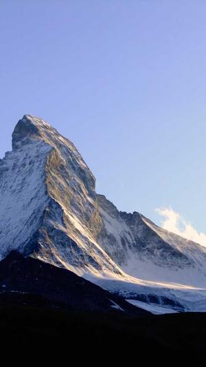 淄博seo优化截图1