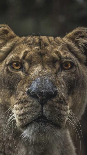 鹤壁网站建设截图3