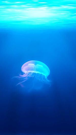 代做泛目录排名截图3