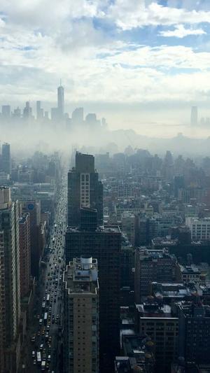 谷歌seo排名查询工具截图3