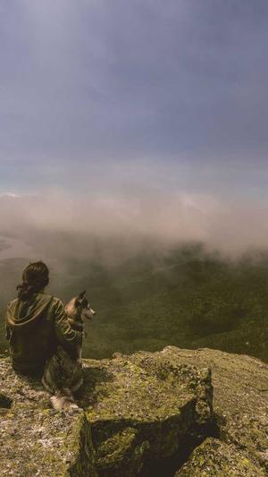 seo排名推广工具蜘蛛池截图2