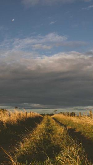 福清网站建设截图3