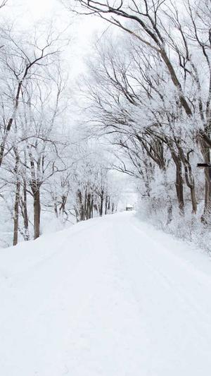 廊坊seo工具截图4