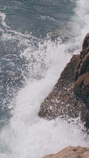 蜘蛛池免费seo教程截图1