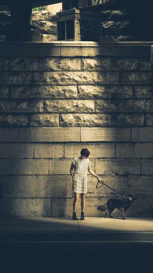 蜘蛛池种类截图2