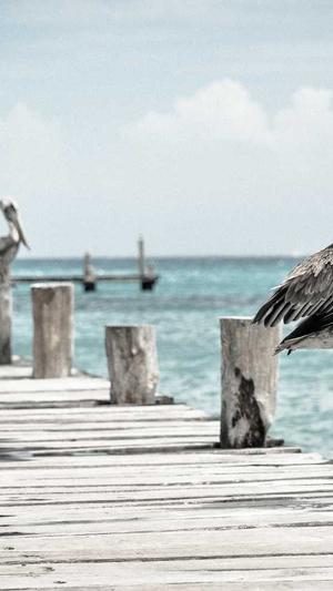 江门网站建设截图2