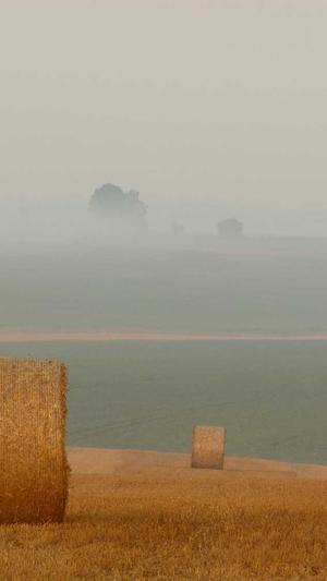 重庆seo服务截图5