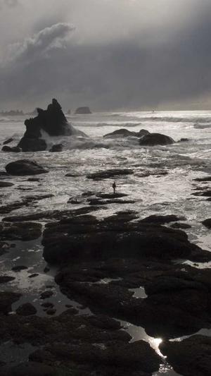 什么是seo技术截图3