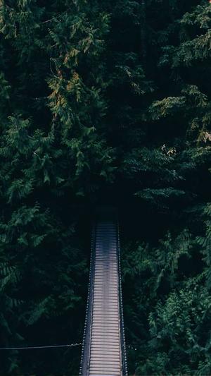 泛目录好还是外推好截图3