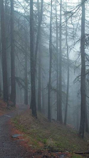 小旋风万能蜘蛛池怎么样截图1