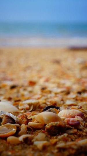 蜘蛛池收录截图3