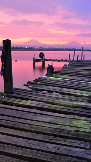 基础工具seo截图2