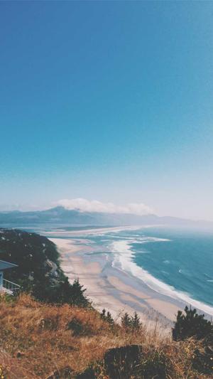 洛阳seo工具大全截图4