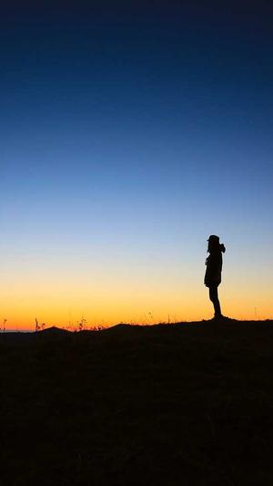 潍坊网站建设截图5